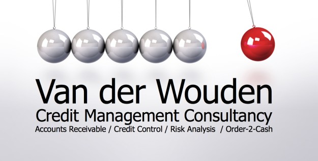 LOGO VD WOUDEN consultancy